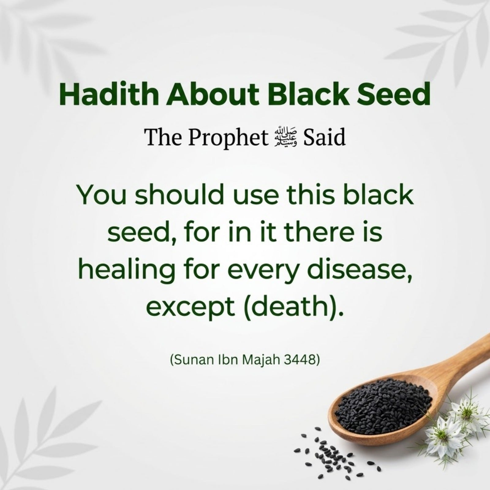 Sunnah's Black Seeds (Kalonji)