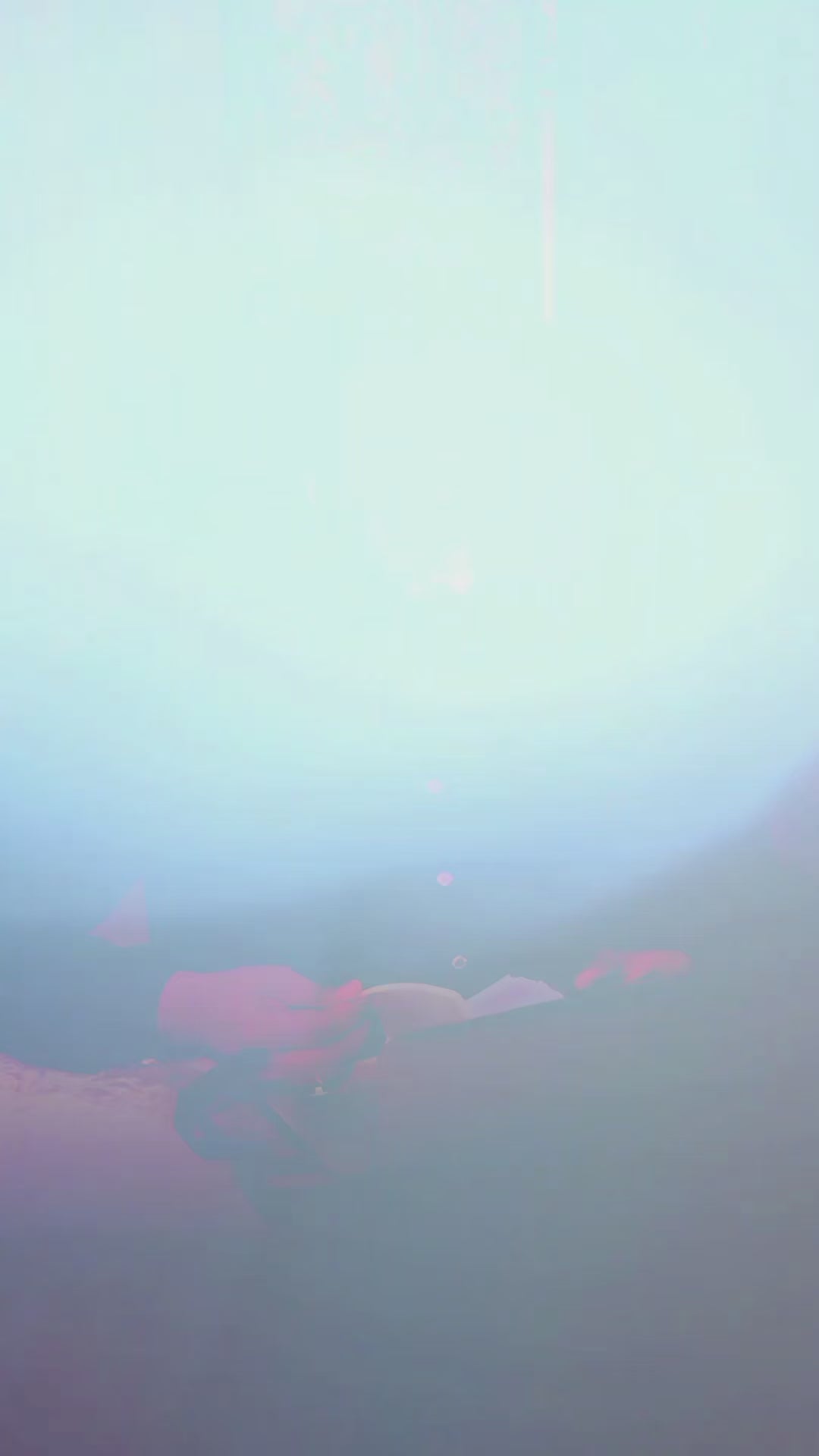 Ruhani Talbina – Sunnah Healthy & Tasty Breakfast